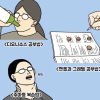내가 공부를 못하는 이유