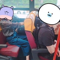 The... mobility impaired...?