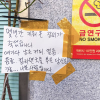 이윽고 너는 잠이 든다