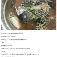 돌돔 매운탕 사건