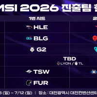 MSI 참가팀들