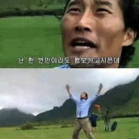 msi티켓