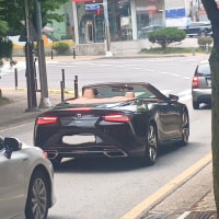 op bro saw a car car irl