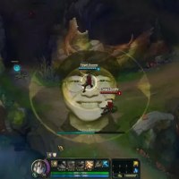 Fan-imagined skins vs. skins actually coming out
