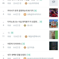 회사에서 토끼 잡은놈 후기