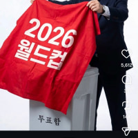 대명보