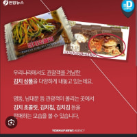 옵지가 문을 닫았어요..