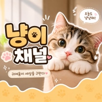 😻냥이채널로 모여냥😸