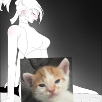 아칼리 낙서로 보는 그림 실력