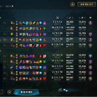 i literally did all the damage myself