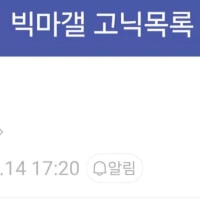 빅토르마이너갤러리 고닉프로들 목록