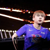 BLG 탑을 찾고있나?