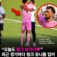 이정도면 핑크 X지냐?