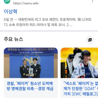 구글에 페이커 검색하면
