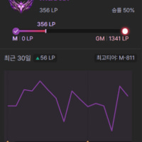 자기 인생을 롤에 바쳤다고 생각하는 사람은 이걸 보시오