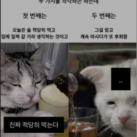 어제 술마시고