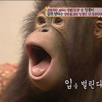 완장질