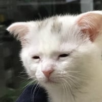 심심한데