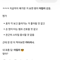 지피티한테 주챔 맞춰보라고 해봄