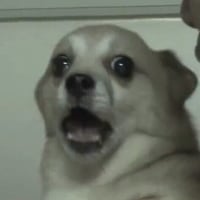 "이렇게 허면 안짖어"