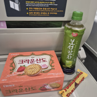 풍채유지비