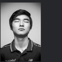 자신은 페이커를 좋아하고 슼갈이라는 어느 옵붕이의 글 모음