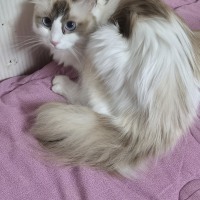 We've got a new family member!