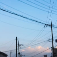 새로운 사진을 가져왔습니다