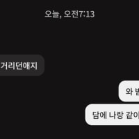 내 취향