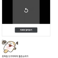 할머니한테 들으면 안 되는 말을 들은 디시인