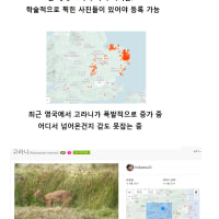 A look at the water deer that used to live only in Korea and China 😳