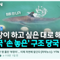 부캉이 근황