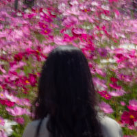 Woman in a Flower Field.