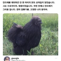 これくらいでやっとFaker憑依ってやつなの？