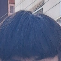 트붕이 머리 ㅈ된거임? 평가좀